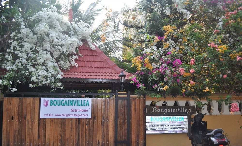 Bougainvillea Guest House 칸돌림 외부 사진